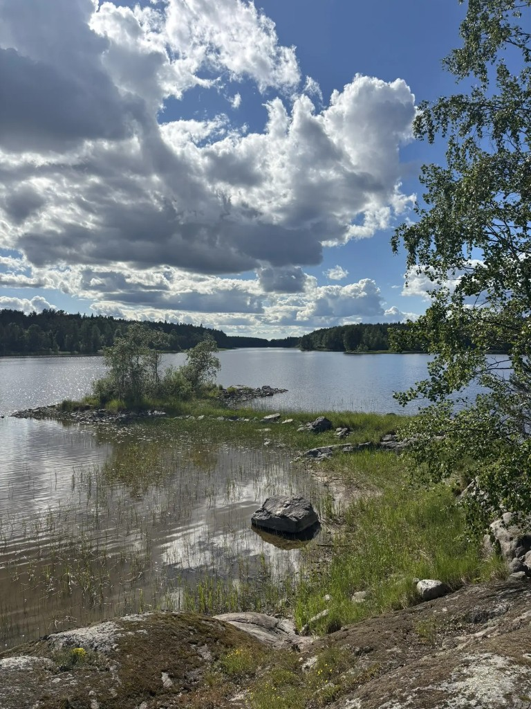 Шезлонги и качели